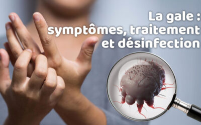 Lutte contre les nuisibles 14 La gale : symptômes, traitement et désinfection