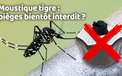 Lutte contre les nuisibles 13 Moustique tigre : les pièges bientôt interdit ?