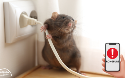 Lutte contre les nuisibles 13 Les pièges connectés en dératisation : une solution efficace et innovante !